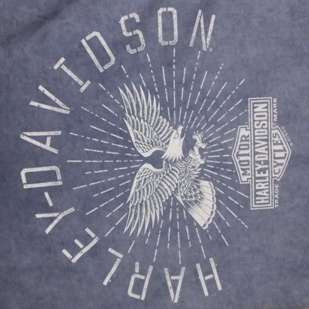 Harley-Davidson Blue Short Sleeve Eagle Rays Tee Mens Large